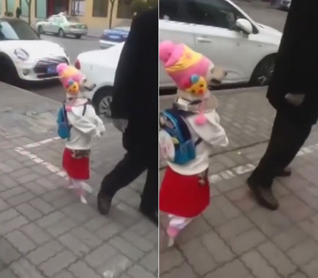 Cachorra aparece de saia, blusa e gorro, além de levar uma mochila nas costas (Foto: Reprodução/YouTube/247NewsClips) cadela-china