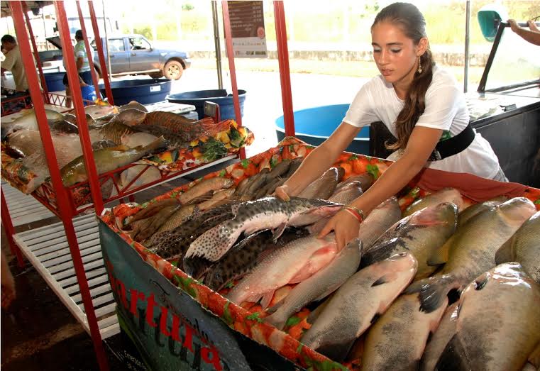 O objetivo geral da feira é promover a exposição e comercialização do pescado e de produtos hortigranjeiros feira-natal-peixe
