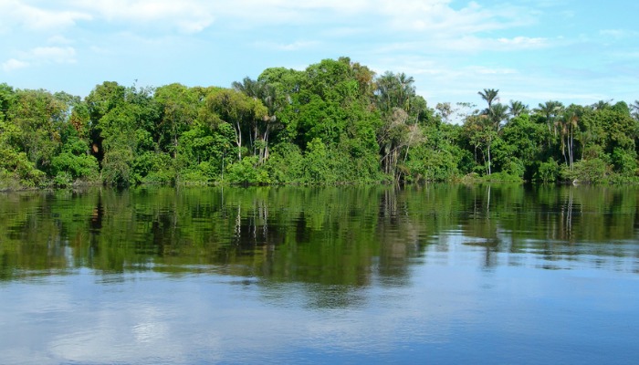 Floresta-Amazônica-rio-Negro Foto-Reprodução-Shutterstock