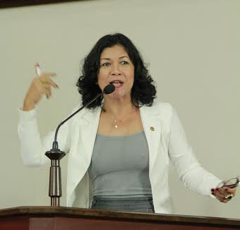 Deputada pede mais fiscalização por parte do governo sinhasique-casas