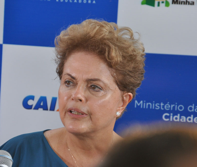 dilmacoletiva