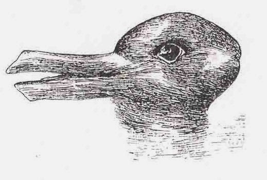 duck-or-rabbit-illusion