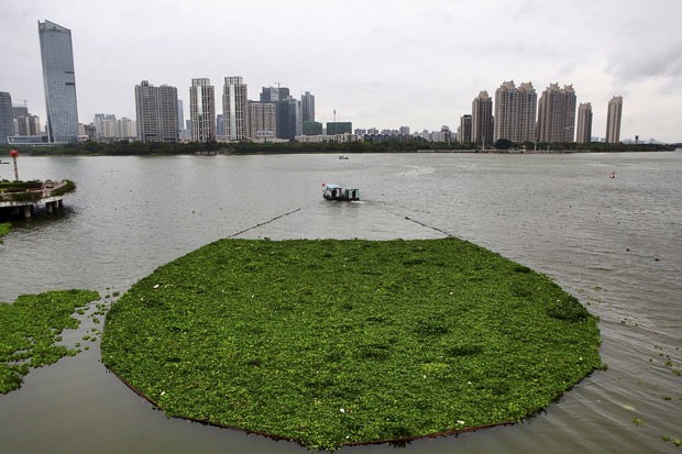 2015-04-10t045900z 120055720 gf10000054397 rtrmadp 3 china-environment