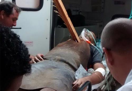 842015-110032-gravemente