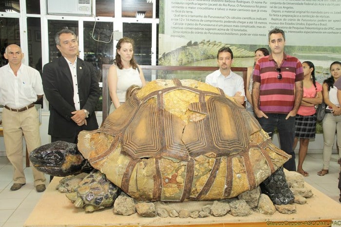 fd27d9b2-aa31-4227-8b3c-47bb90808288