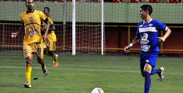 galo imperador09345-700x357