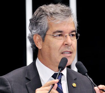 jorgedesmatamento