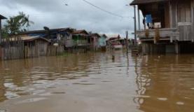 Cheias no Amazonas afetam 33 municípiosDivulgação/Defesa Civil do Amazonas cheia amazonas