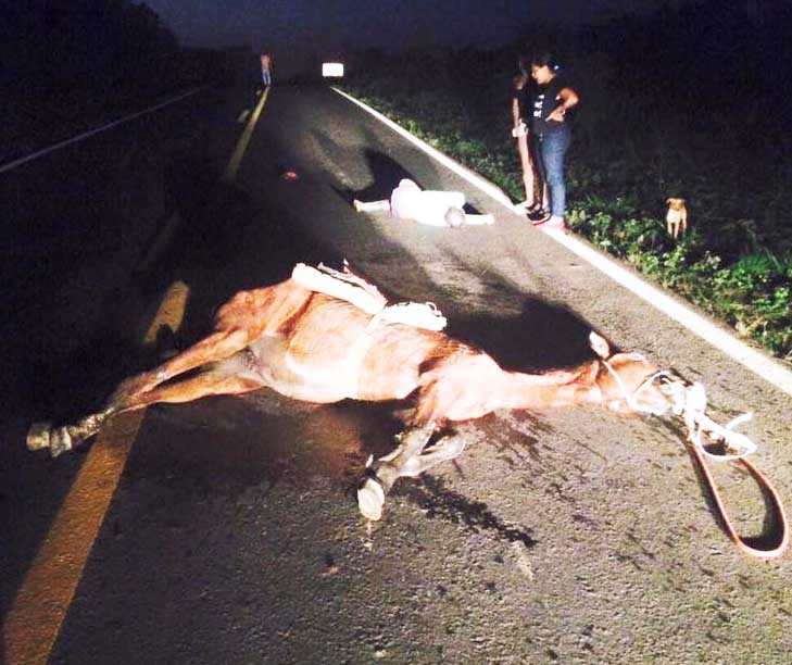 Cavaleiro é atropelado por carro na BR-364 e fica em estado grave; cavalo morre na hora