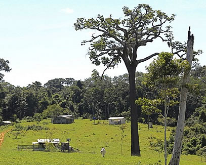 especial 221213 1capa