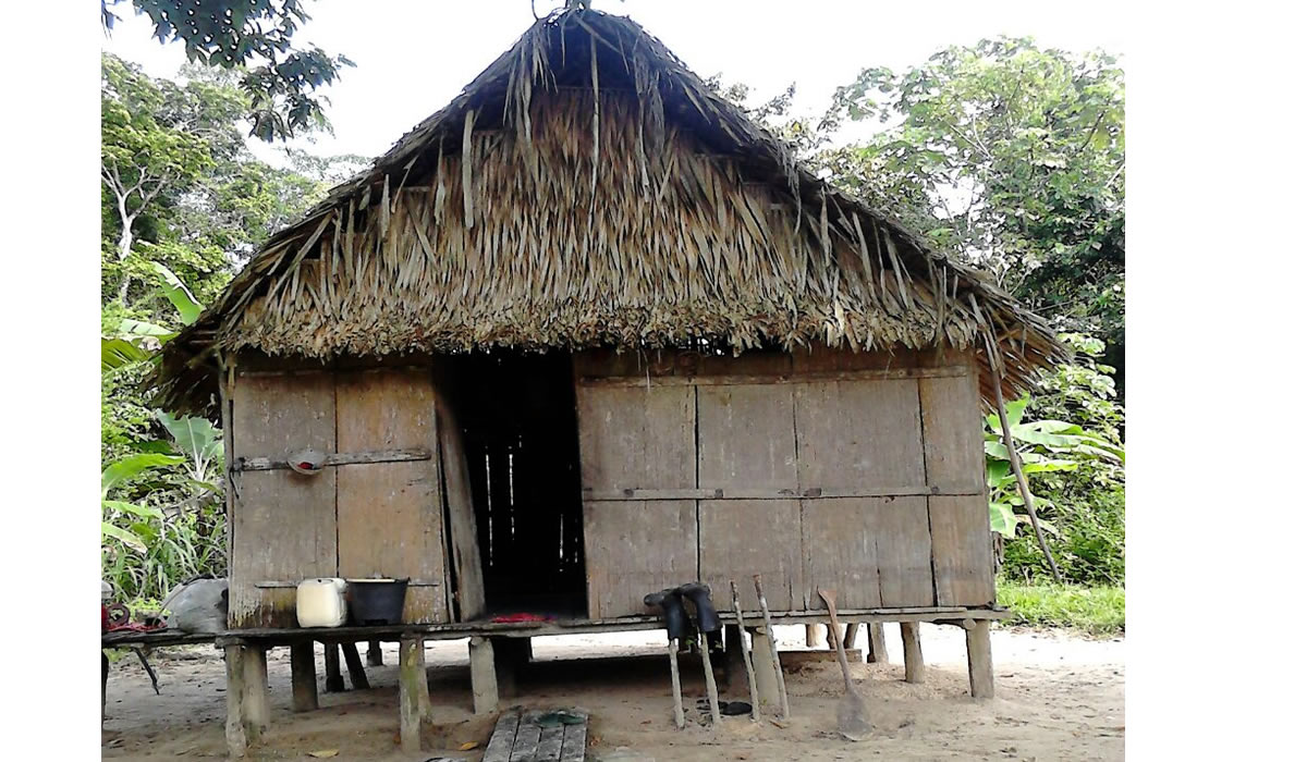 estrupro menina casa