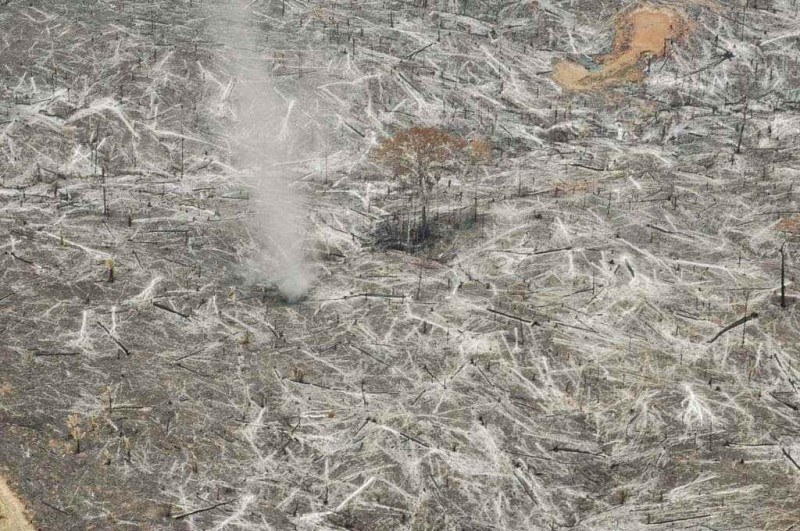 Desmatamento no Acre aumenta 40% em 2014; na Amazônia, queda de 15%, diz Inpe