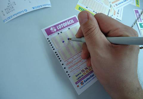 Lotofácil da Independência promete R$ 85 milhões para a próxima terça
