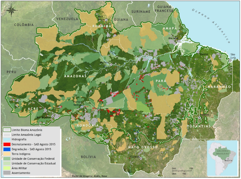Em agosto, desmatamento na Amazônia Legal foi de 415 km², diz Imazon