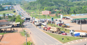 Manifestação reuniu cerca de 20 etnias/Foto: Charlton Lopes/ContilNet