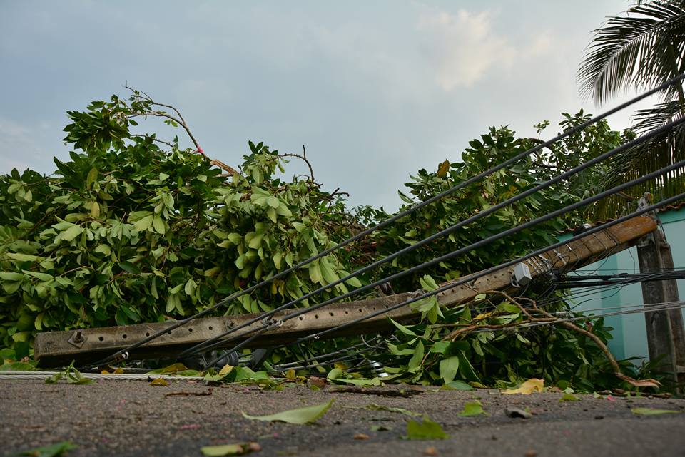 Temporal destelha casas e derruba postes e árvores em vários bairros de Rio Branco