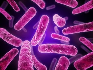 tuberculose