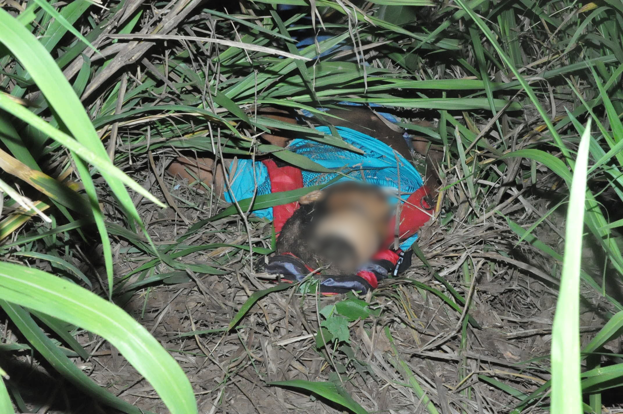 PRF encontra corpo dentro de mato as margens da BR-364; vítima foi arremessada