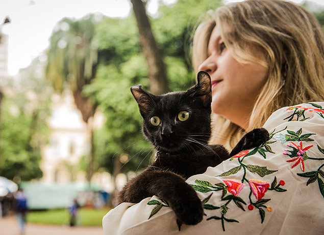 ONGs limitam doação de gatos pretos às vésperas da sexta-feira 13