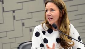 Brasília – A relatora da CPI do Carf, senadora Vanessa Grazziotin, na leitura do relatório final, há semana Antonio Cruz/ Agência Brasil