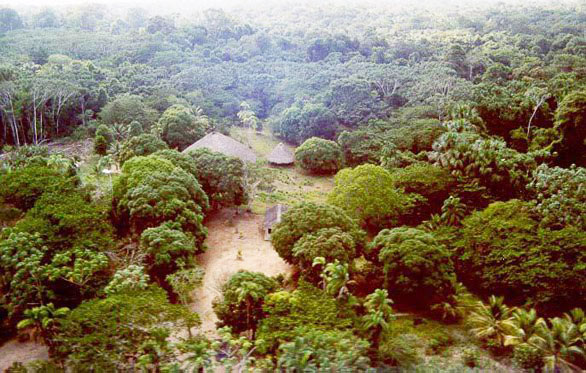 Conflitos: Polícia Federal encontra corpos dentro de acampamento em reserva indígena