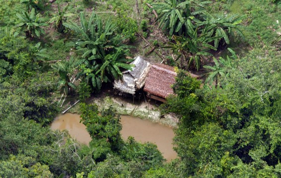 “Existem laboratórios de cocaína em aldeias indígenas do Acre”, denuncia ambientalista