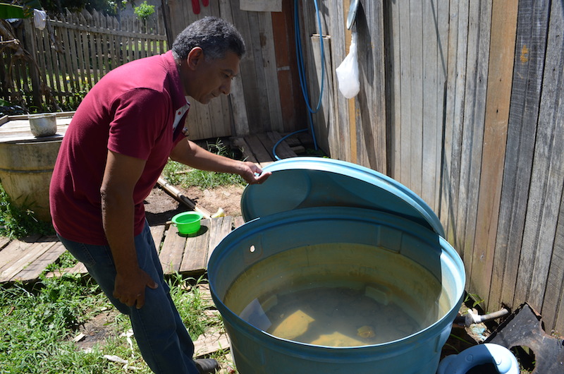 MP pede que acreanos intensifiquem cuidados de combate ao mosquito transmissor do zika vírus