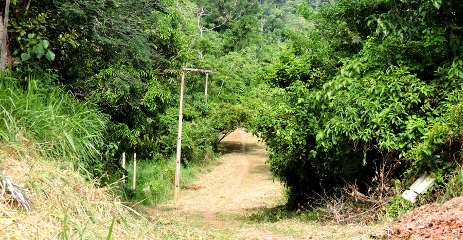 Prefeitura de Assis Brasil realiza limpeza na Passarela