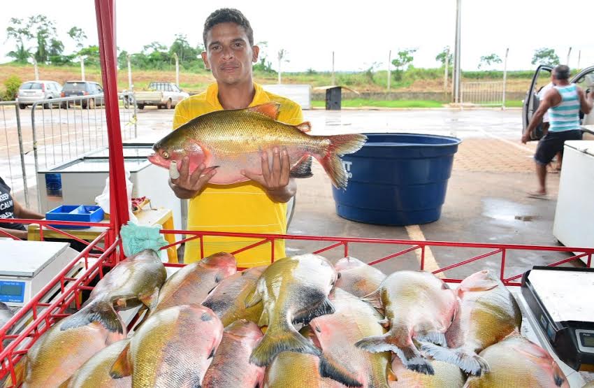Prefeitura de Rio Branco realiza a 4ª edição da Feira do Peixe Natalina