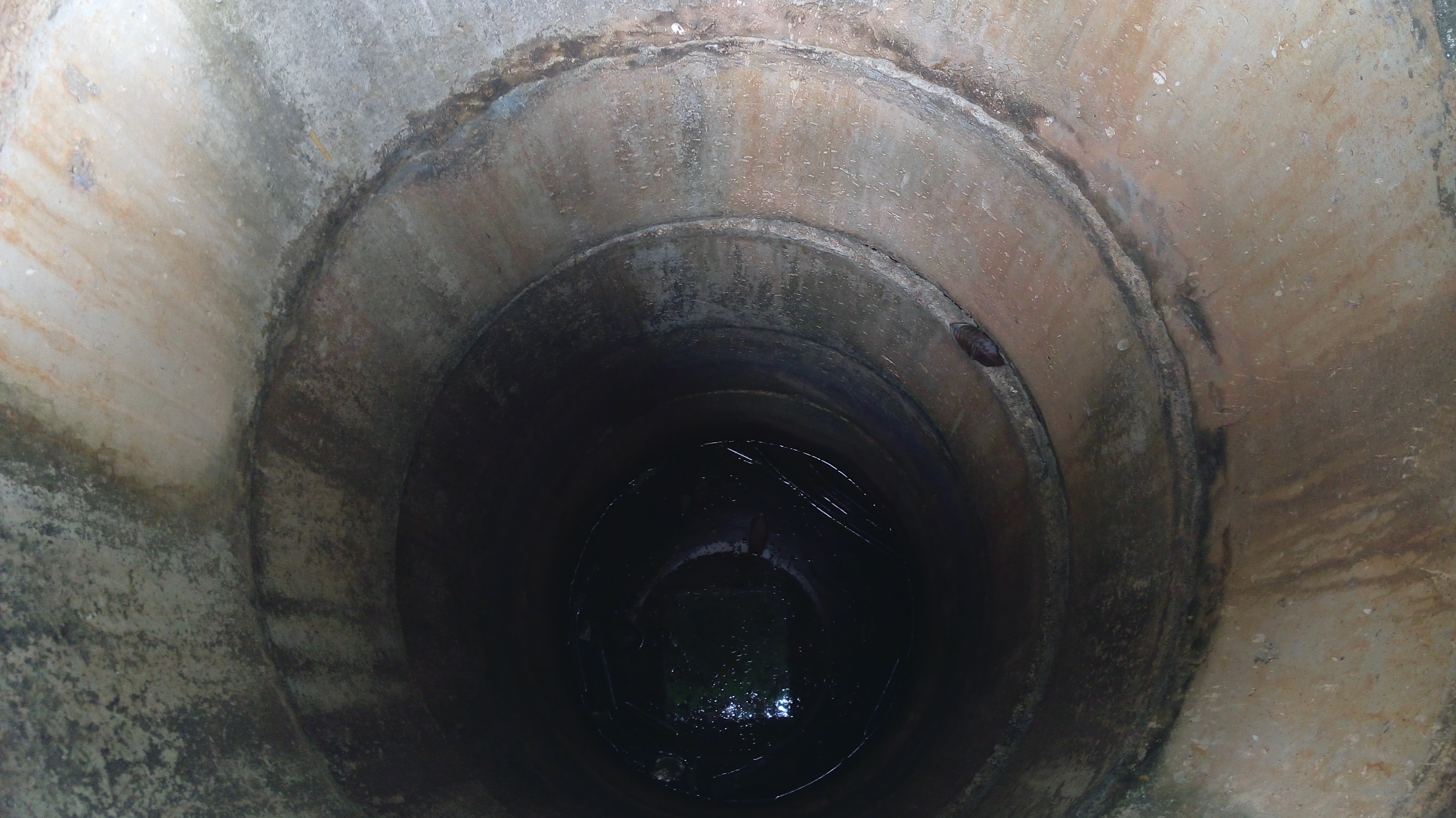 Descaso: buraco está aberto há meses no Parque da Maternidade
