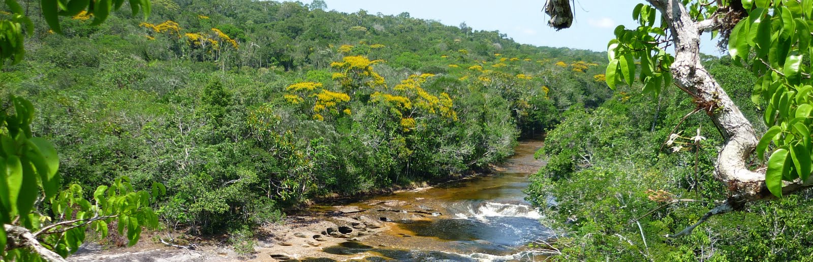 Segurança Pública do Amazonas inicia buscas por grupo desaparecido na “floresta proibida”