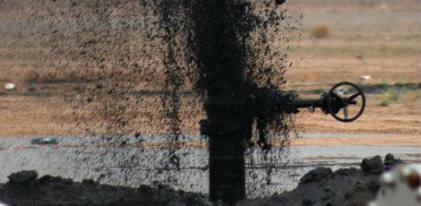 c7ca7b8cb07ac30de50dd9b25b72d690