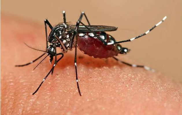 Acre contabiliza 40 casos suspeitos de chikungunya; desses, 25 são na capital