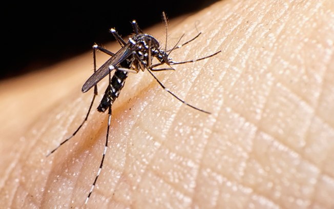Carnaval é “coquetel explosivo” para espalhar zika, alertam infectologistas
