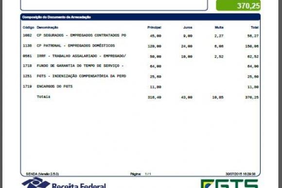 Guia do eSocial - Divulgação/Receita Federal 