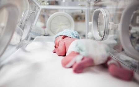 Sindicato quer responsabilização de gestores por mortes de bebês em maternidade
