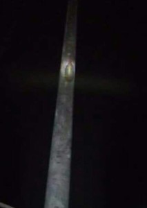 nossa senhora (2)