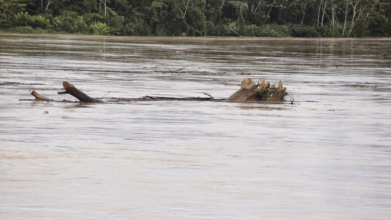 Rio ultrapassa cota de alerta em Tarauacá e Feijó e volta a preocupar autoridades