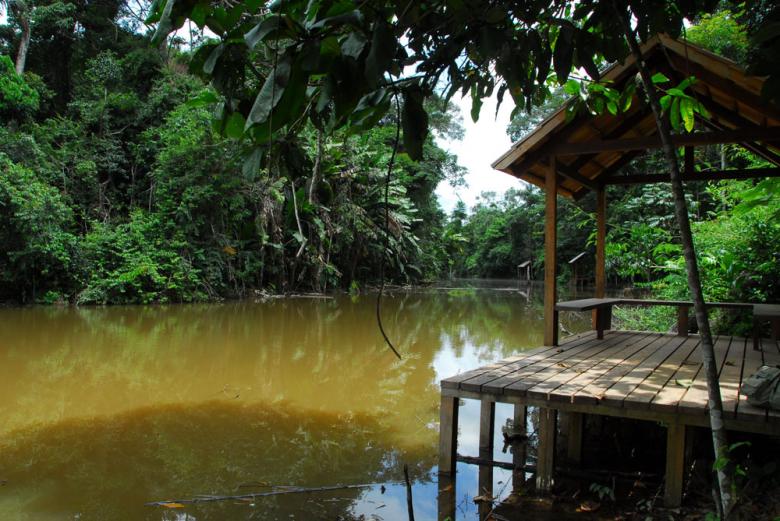 Justiça condena Estado a indenizar família de criança morta em passeio no Seringal Cachoeira