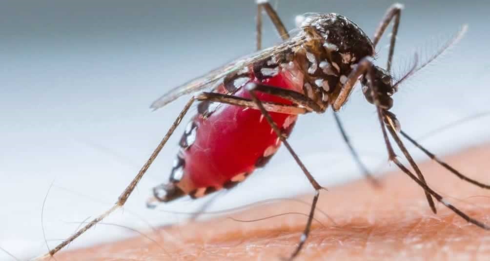 Dos 124 casos suspeitos de Zika vírus no Acre, apenas 2 foram descartados