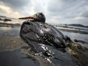 DerramePetrolífero2016