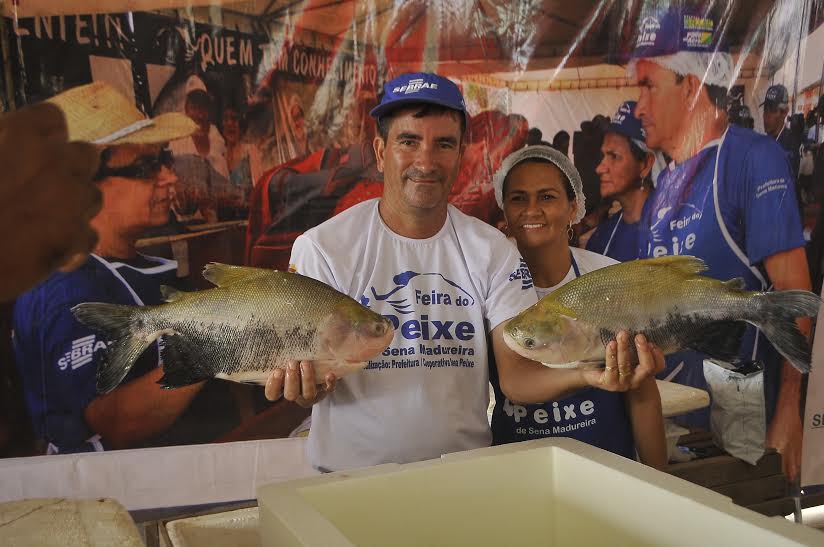 Semana Santa: quinta edição da Feira do Peixe é iniciada em Sena Madureira