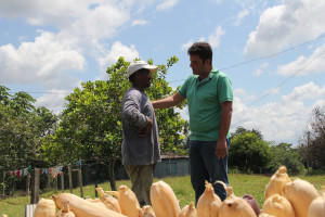 cameliagricultor