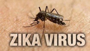 o-zika-virus-sua-origem-e-como-surgiu-no-brasil