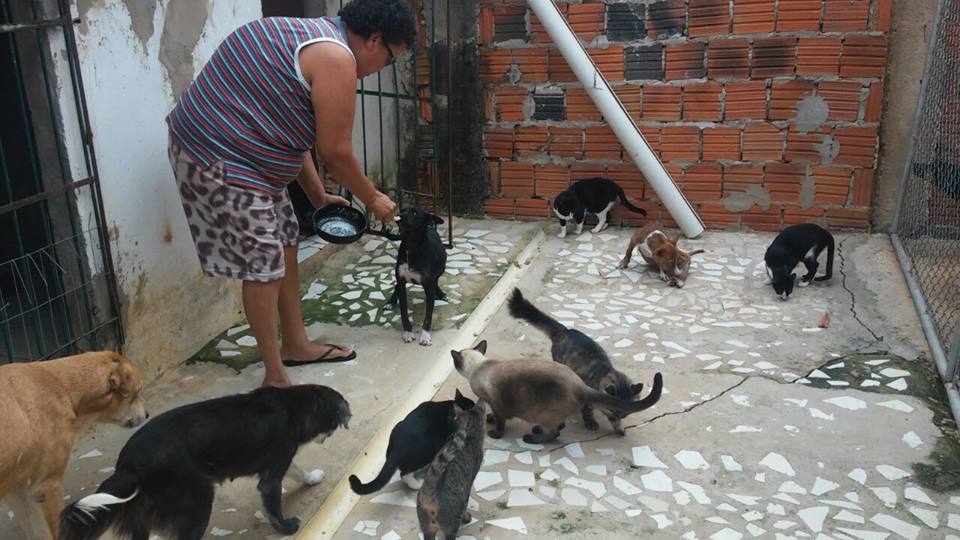 Os bichos estão comendo farofa com ovo por falta de ração apropriada/Foto: Reprodução