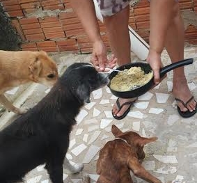 1a490df2-cb82-40fe-a31e-afd0a622c014