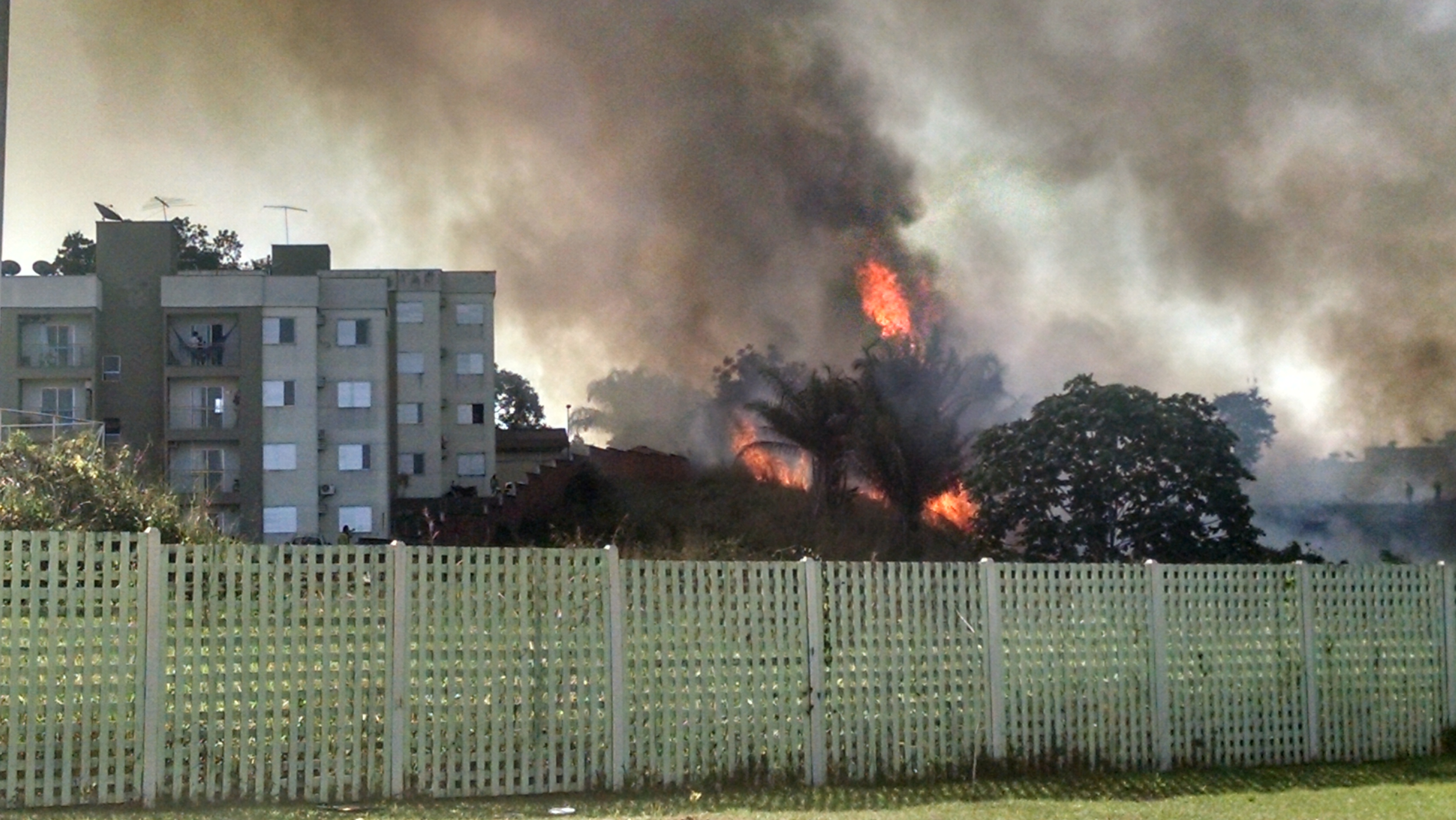 Incêndio atinge terreno e destrói cerca de proteção do Parque da Maternidade