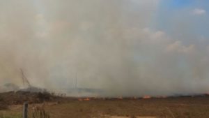 Incêndio de grande porte próximo ao loteamento Farhat /Foto: ContilNet