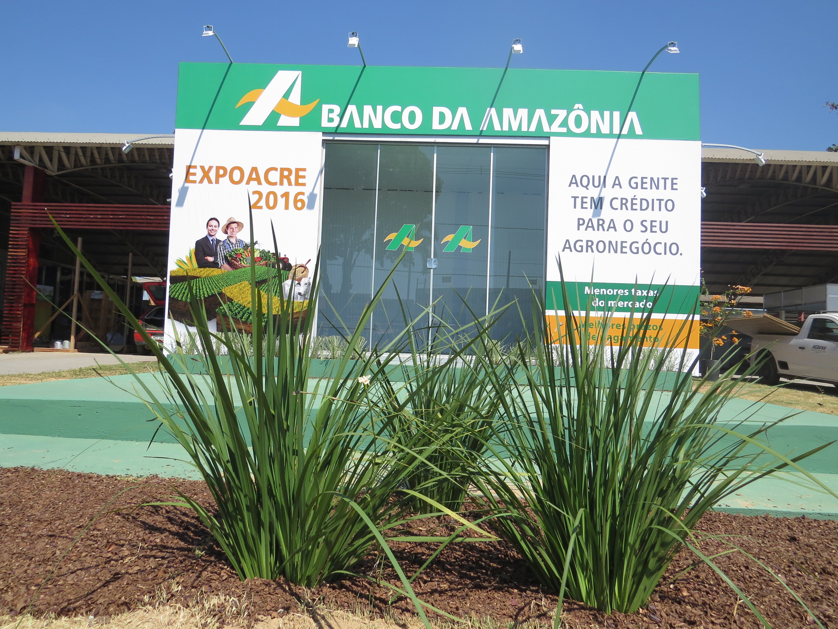 Investimento: Banco da Amazônia injetará este ano R$2,1 bilhões no agronegócio da região