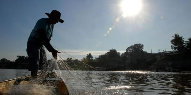 Falta de recadastramento deixa 6,3 mil pescadores acreanos sem licença